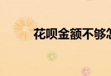 花呗金额不够怎么分期（花呗金）
