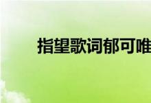 指望歌词郁可唯（指望完整版歌词）