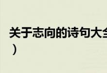 关于志向的诗句大全（关于志向古诗词有哪些）