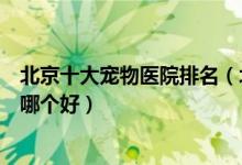北京十大宠物医院排名（北京宠物医院前十名北京宠物诊所哪个好）
