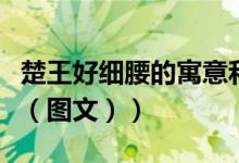 楚王好细腰的寓意和启发（楚王好细腰的寓意（图文））