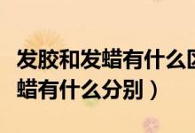 发胶和发蜡有什么区别该如何选择（发胶和发蜡有什么分别）