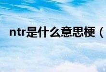ntr是什么意思梗（ntr这个梗是什么意思）