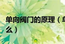 单向阀门的原理（单向阀工作原理及作用是什么）