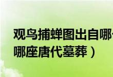 观鸟捕蝉图出自哪个墓葬?（观鸟捕蝉图来自哪座唐代墓葬）