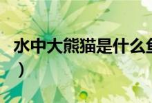 水中大熊猫是什么鱼（水中大熊猫是什么动物）