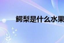 鳄梨是什么水果（鳄梨是什么东西）