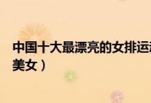 中国十大最漂亮的女排运动员（最美排球女将是谁国内排球美女）