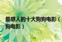 最感人的十大狗狗电影（关于狗的电影哪部最好看最催泪的狗电影）