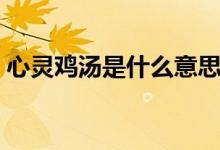 心灵鸡汤是什么意思（心灵鸡汤有什么意思）