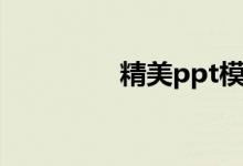 精美ppt模板（精美ppt）