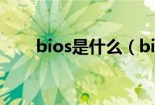 bios是什么（bios是什么怎么设置）