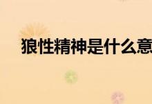 狼性精神是什么意思（狼性精神是什么）