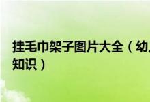 挂毛巾架子图片大全（幼儿园毛巾架简介幼儿园毛巾架选购知识）