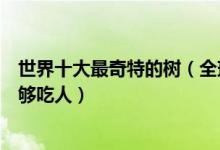 世界十大最奇特的树（全球最怪异的树盘点其中非洲蛇树能够吃人）