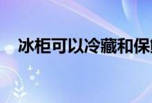  冰柜可以冷藏和保鲜吗冰柜都有哪些品牌 