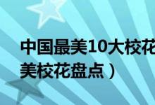 中国最美10大校花排行榜（中国十大校花最美校花盘点）