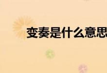 变奏是什么意思（变奏是什么意思）