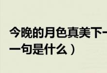 今晚的月色真美下一句（今晚的月色真美的下一句是什么）
