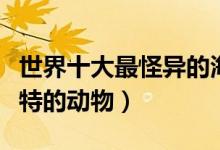 世界十大最怪异的海洋生物（海洋里有哪些奇特的动物）