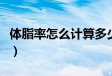 体脂率怎么计算多少斤脂肪（体脂率怎么计算）