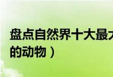 盘点自然界十大最大胆的动物（动物界最胆大的动物）