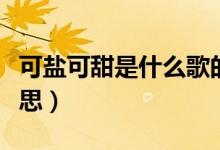 可盐可甜是什么歌的歌词（可盐可甜是什么意思）