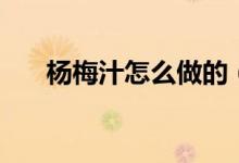 杨梅汁怎么做的（杨梅汁怎么洗干净）