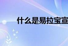 什么是易拉宝宣传（什么是易拉宝）