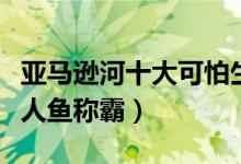 亚马逊河十大可怕生物（令人闻风丧胆帕库食人鱼称霸）