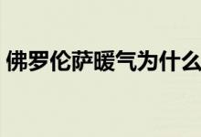 佛罗伦萨暖气为什么会漏水（如何快速堵漏）