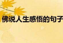 佛说人生感悟的句子（关于人生感悟的句子）