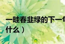 一畦春韭绿的下一句（一畦春韭绿的下一句是什么）