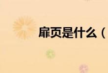 扉页是什么（扉页是什么意思）