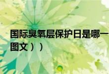 国际臭氧层保护日是哪一日（国际臭氧层保护日是哪一天（图文））