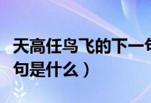 天高任鸟飞的下一句是啥（天高任鸟飞的下一句是什么）