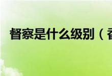 督察是什么级别（香港总督察是什么级别）