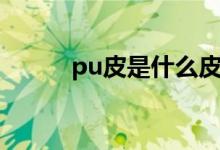pu皮是什么皮（pu皮是什么皮）