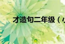 才造句二年级（小学及才造句二年级）