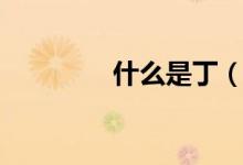 什么是丁（什么是丁香油）