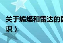 关于蝙蝠和雷达的图片（关于蝙蝠和雷达的知识）