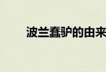 波兰蠢驴的由来（波兰蠢驴什么梗）