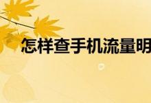 怎样查手机流量明细（怎样查手机流量）