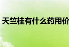 天竺桂有什么药用价值（天竺桂有什么用途）