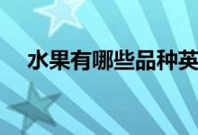 水果有哪些品种英文（水果有哪些品种）