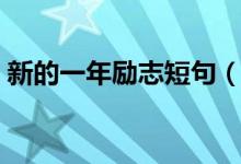 新的一年励志短句（正能量的话励志的语句）