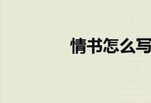 情书怎么写（情书如何写）