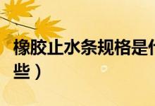 橡胶止水条规格是什么（橡胶止水条规格有哪些）