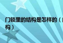 门锁里的结构是怎样的（门锁结构分五部分轻松了解门锁结构）