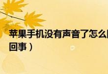 苹果手机没有声音了怎么回事啊（苹果手机没有声音了怎么回事）